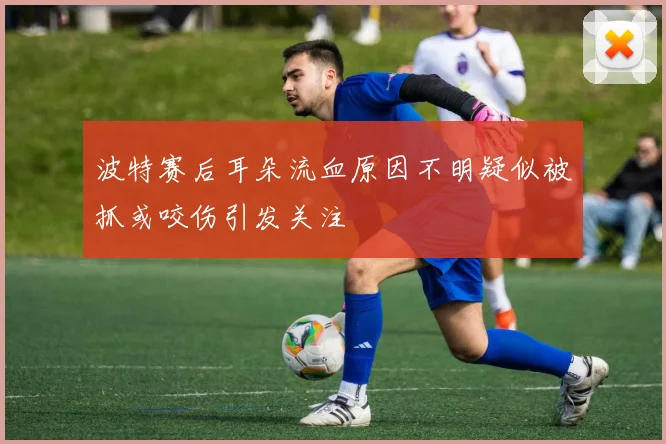 波特赛后耳朵流血原因不明疑似被抓或咬伤引发关注